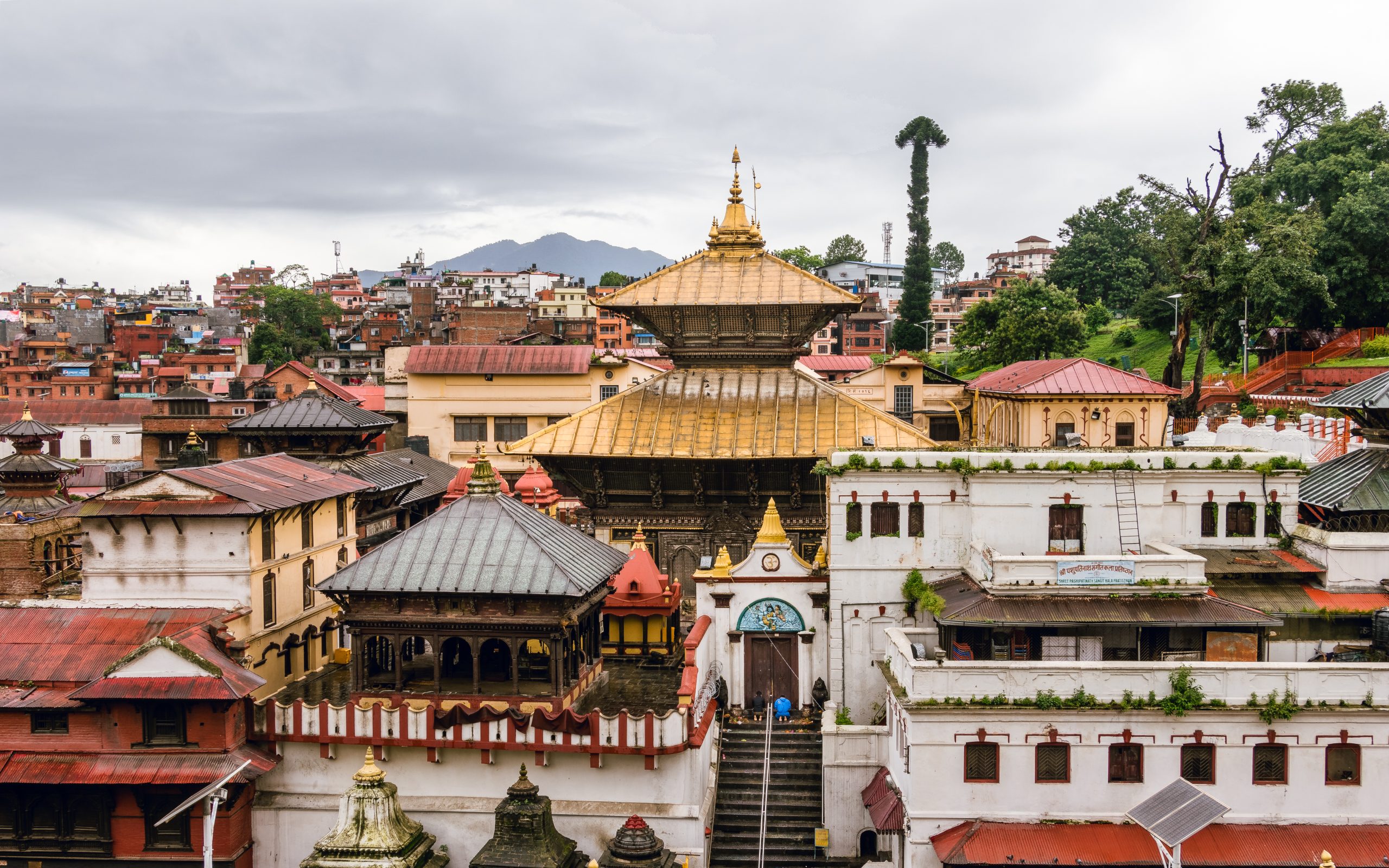 Pashupatinath Temple Tour in Nepal – Complete Spiritual Travel Guide