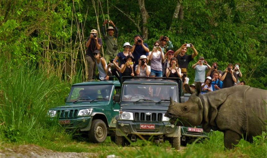 Jungle Safari in Chitwan – Wildlife Adventure in Nepal